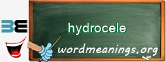 WordMeaning blackboard for hydrocele